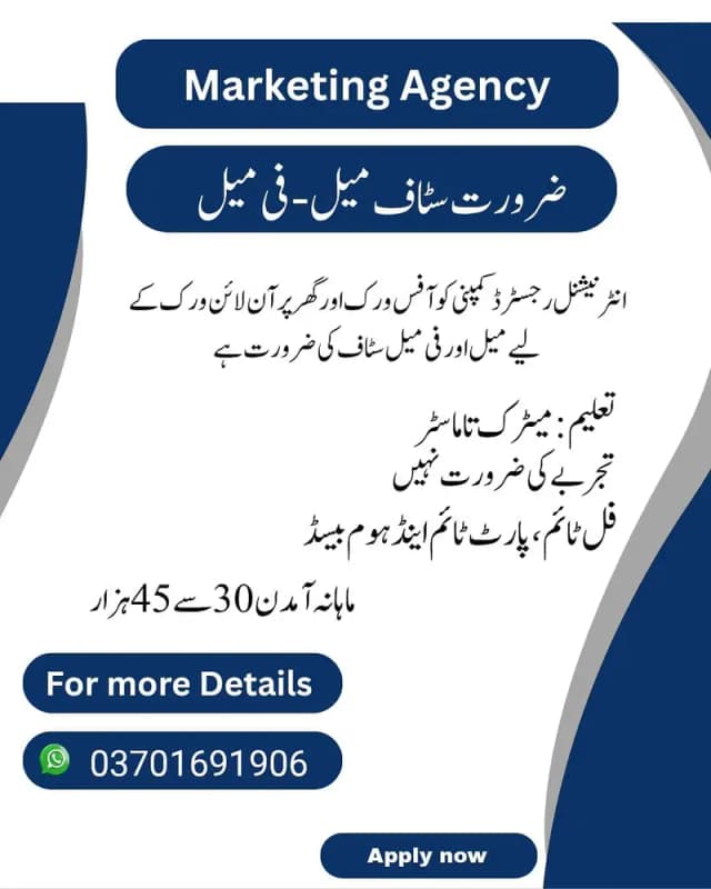 Earn online from home