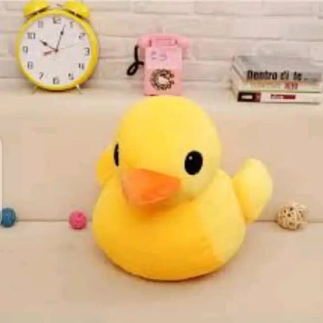 Imported Stuff Polyester Duck