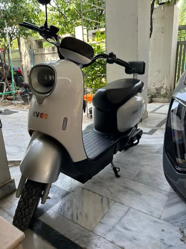 Evee Nisa for sale