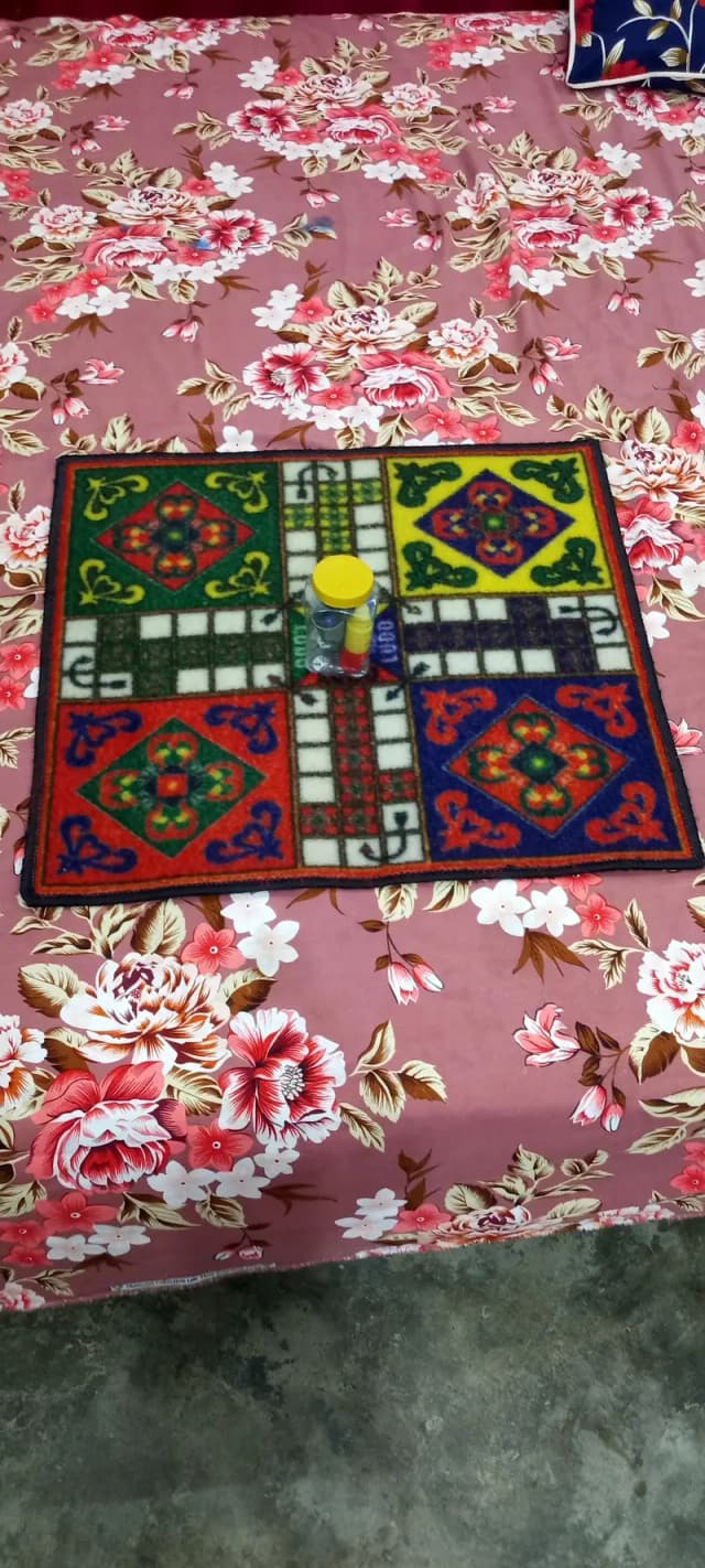 Ludo game