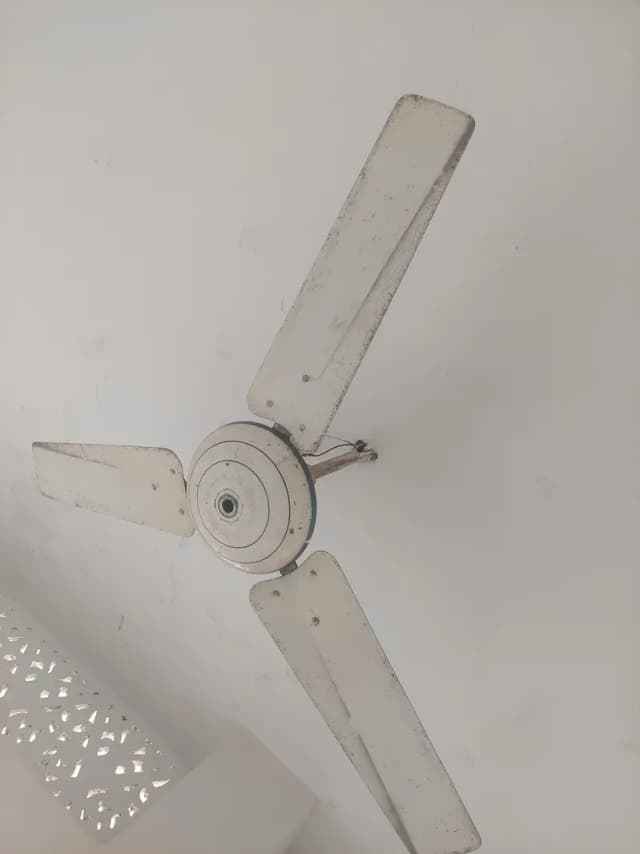 Fan for sale