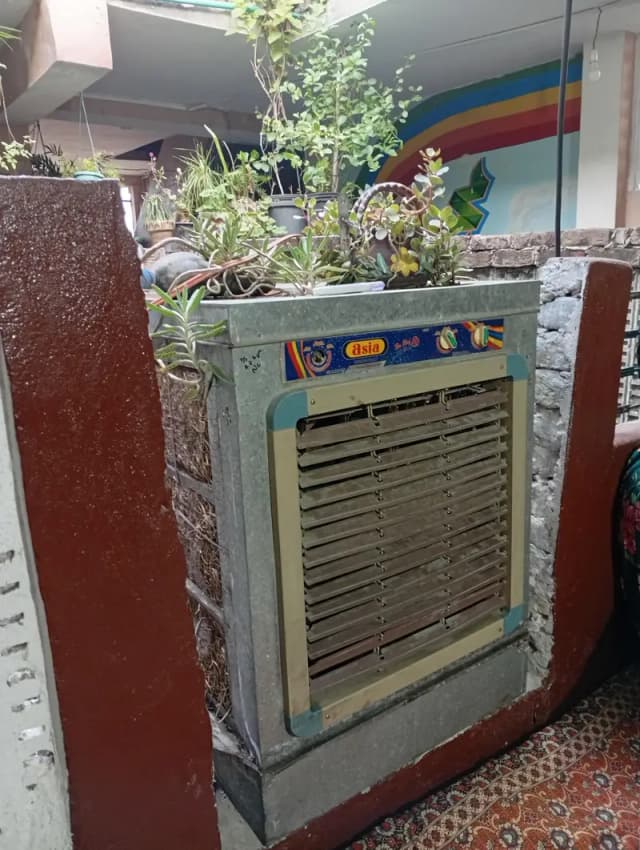 Lahori Cooler