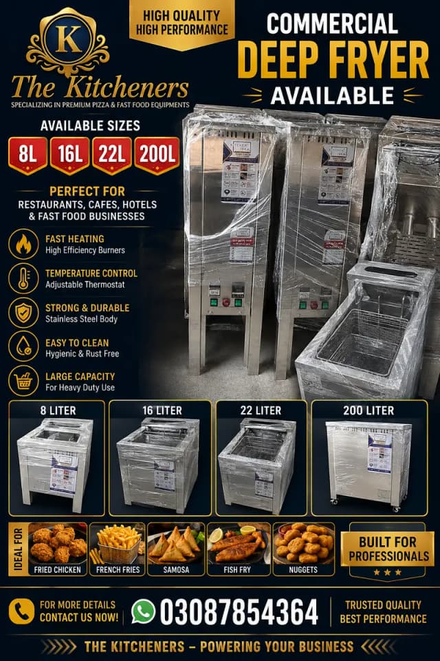 Commercial Deep Fryer High Quality - Fast Food & Pizza Equipment