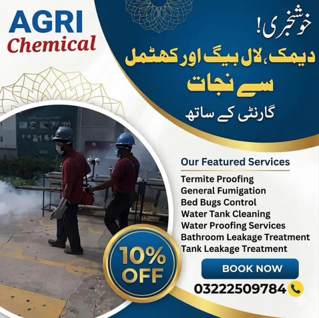 Pest control Termite Expert | Fumigation Services | Termite expert