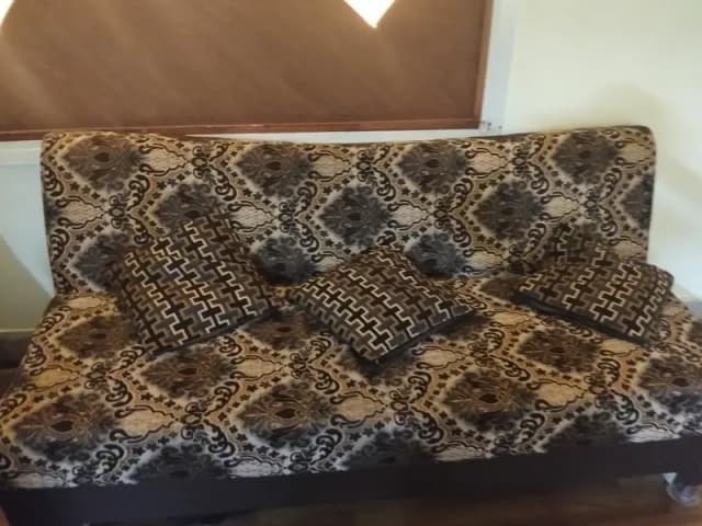 Mega Offer: Sofa Cum Bed + Premium Deewan FREE (Buy 1 Get 1 Free)