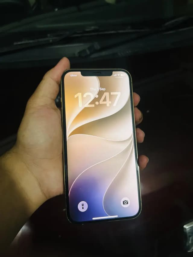 Apple iPhone 12 Pro Max