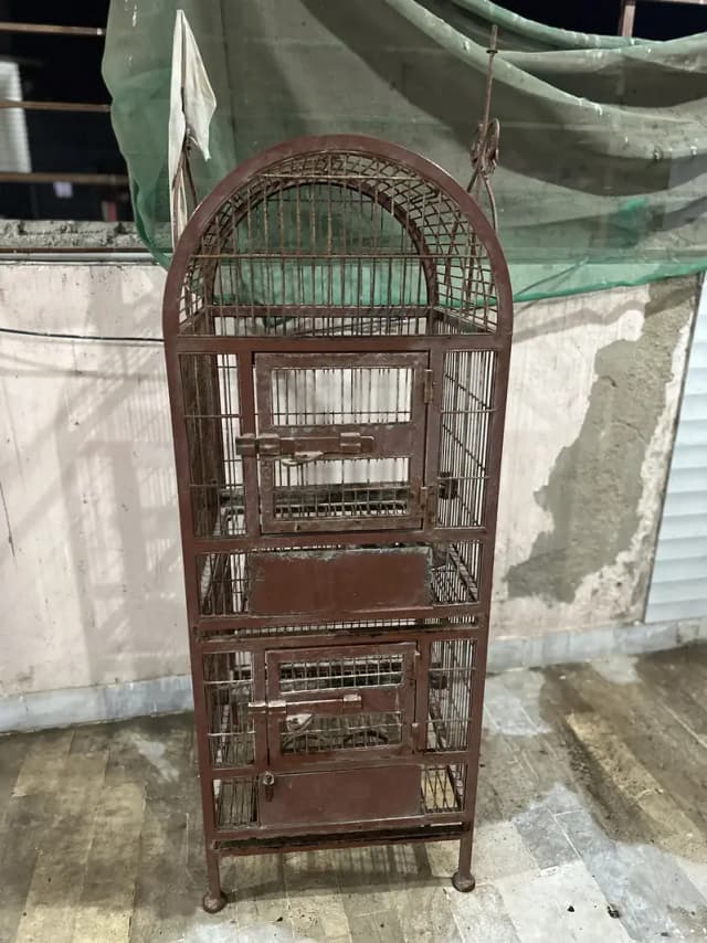 Parrot cage