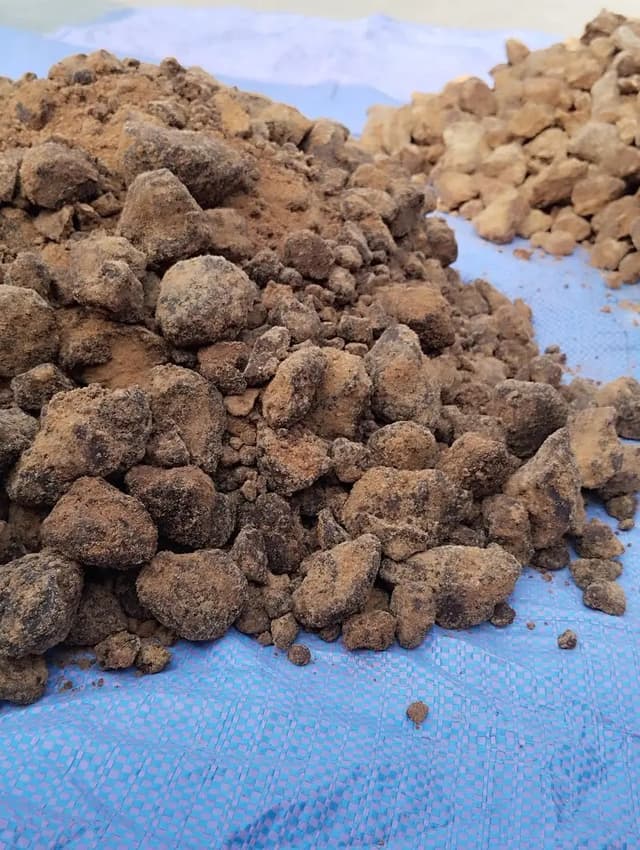 Jaggery for sale ، گڑ برائے فروخت