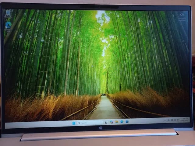 HP ProBook 460 G11 - 14 Generation