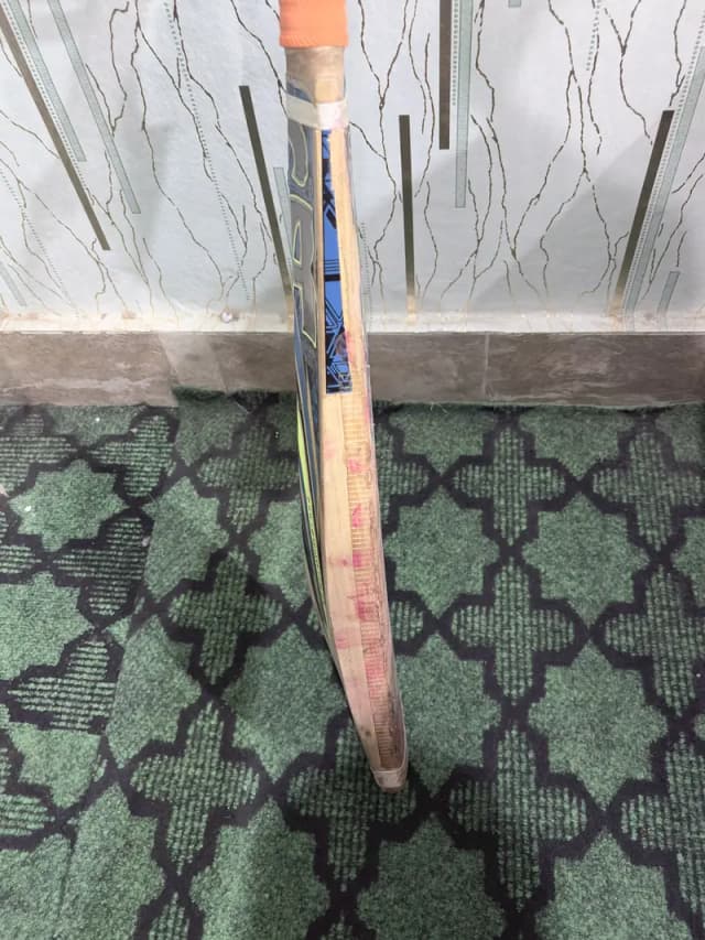 Cricket bat