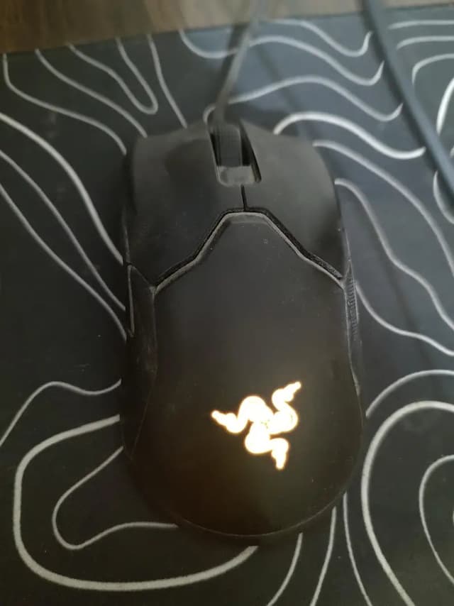 Razer Viper Gaming mouse