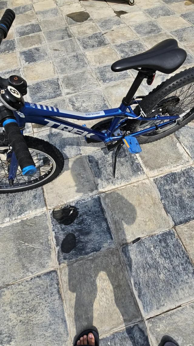 Trek Precaliber 20 Bicycle