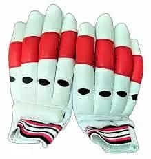 Cricket pads and gloves
