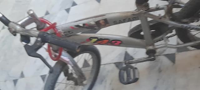 safari bicycle
