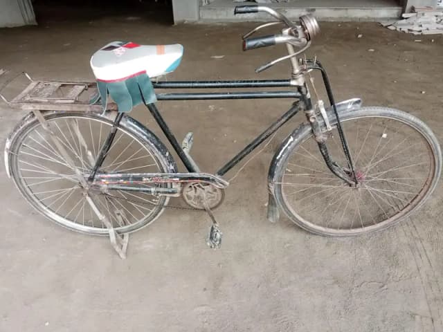 sohrab 22 inch