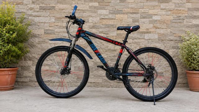 sports cycle size 28 for adults