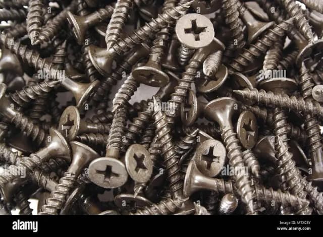 Screws in Various Sizes