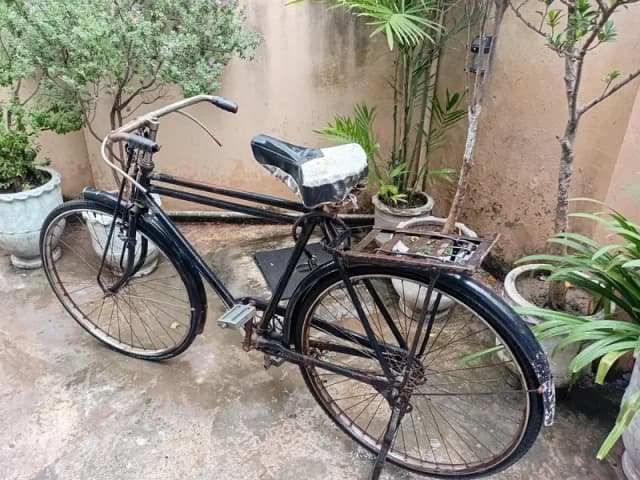 Sohrab Double bar bicycle.