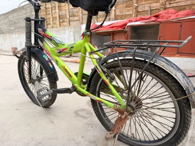 springer Bicycle 20 size