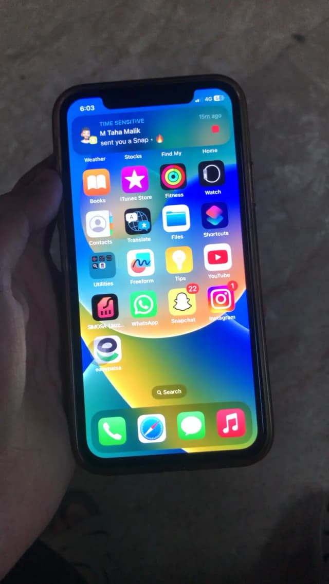 Apple iPhone X