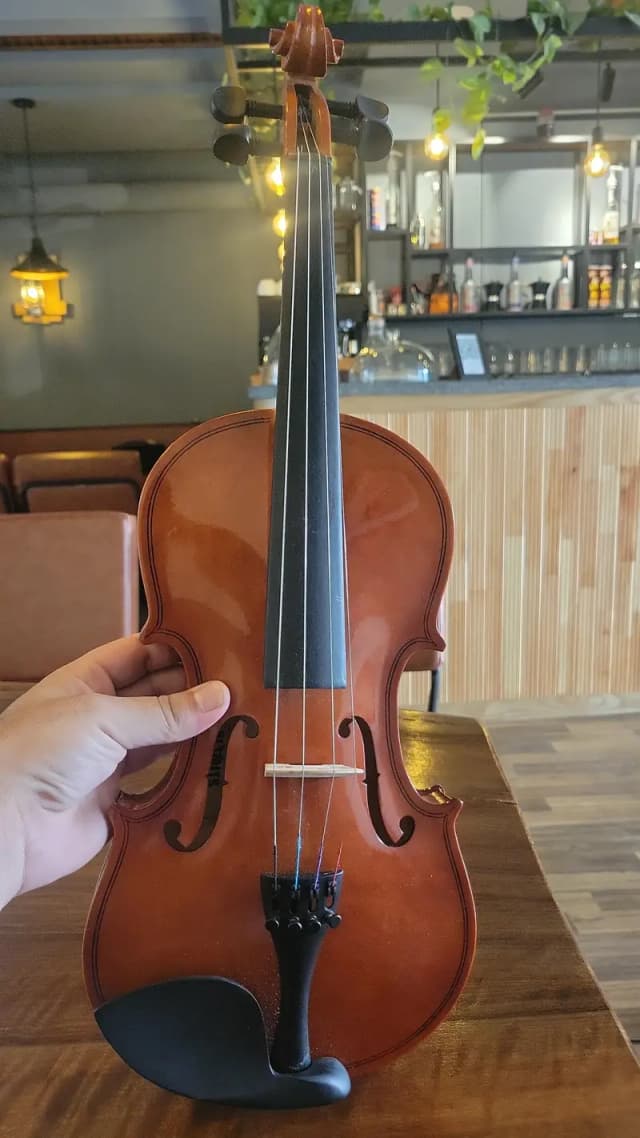 Voilen for sale