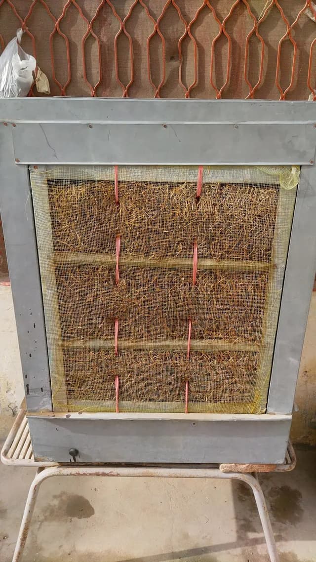 12v DC cooler 1 season used