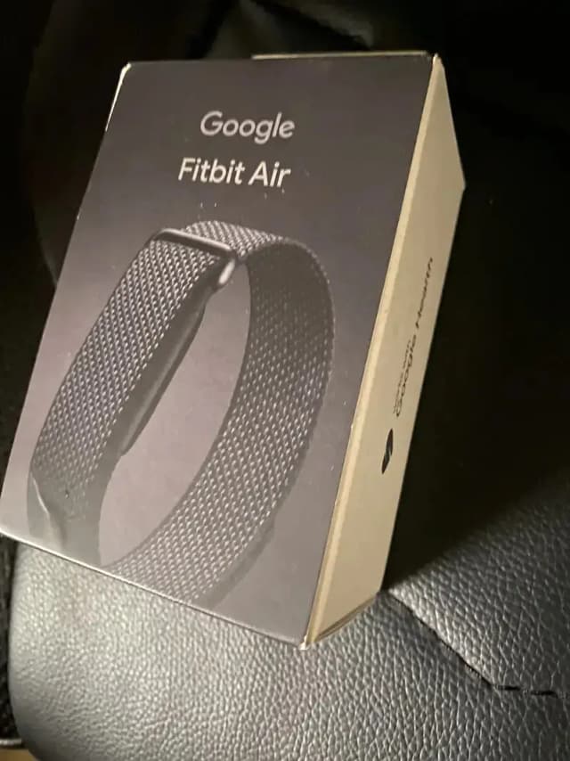 Google Fitbit Air
