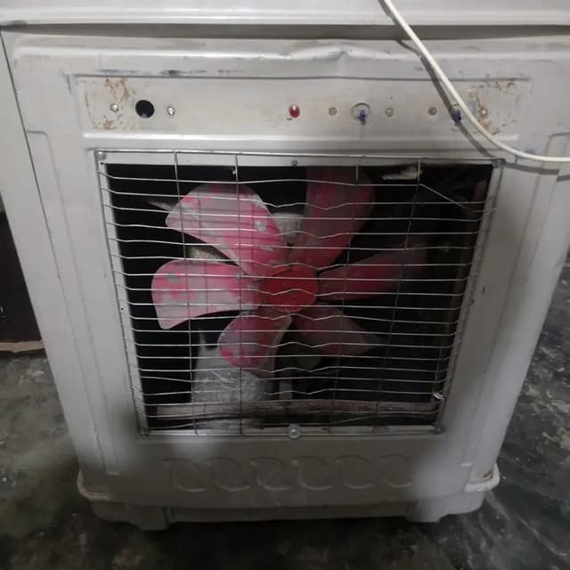 بہترین چلتا ہے ہوا بھی ٹھیک ہے