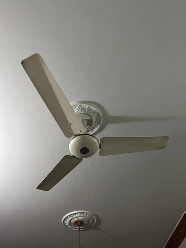 2 Royal Old Fans for sale