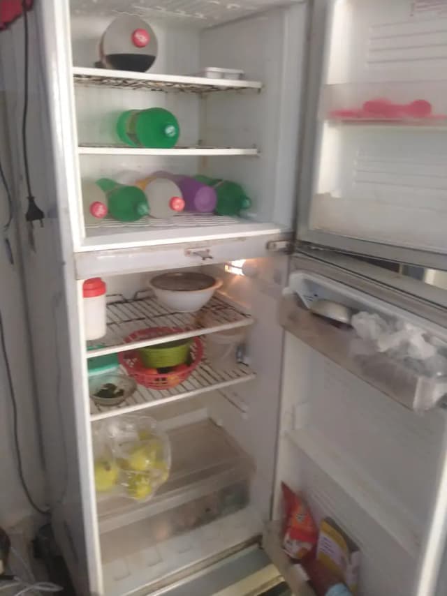 PEL Double Door Refrigerator | Stylish Design | Powerful Cooling
