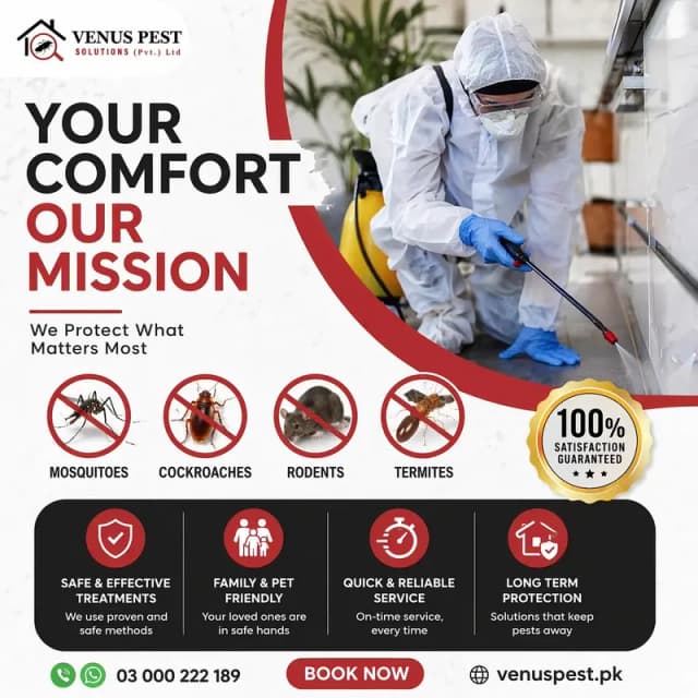 Dengue mosquitoes, Pest Control, Dengue Spary, Deemak Control Services