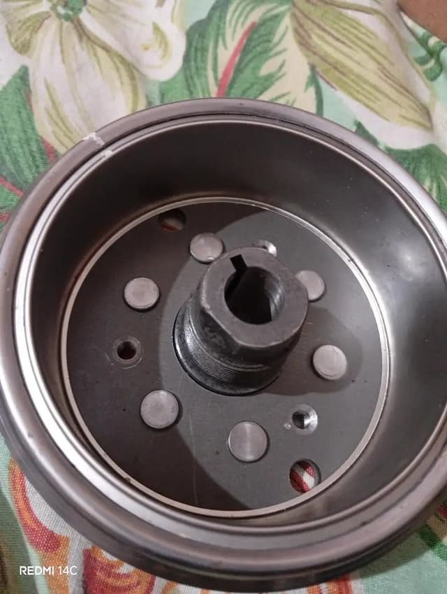 Suzuki 150 magnet  and coil