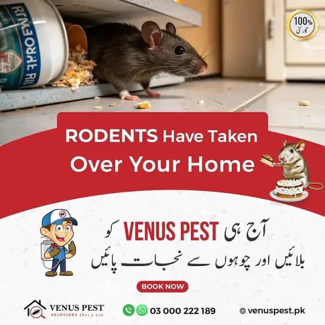 Pest control dengue spray termite control Fumigation mosquito spray