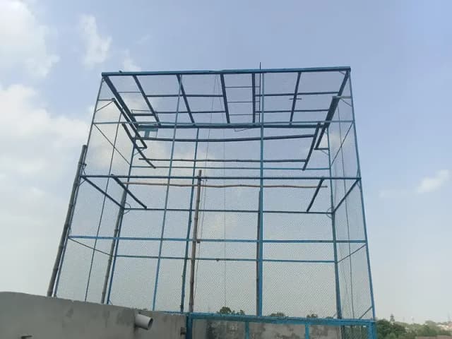 کبوتروں کا جال