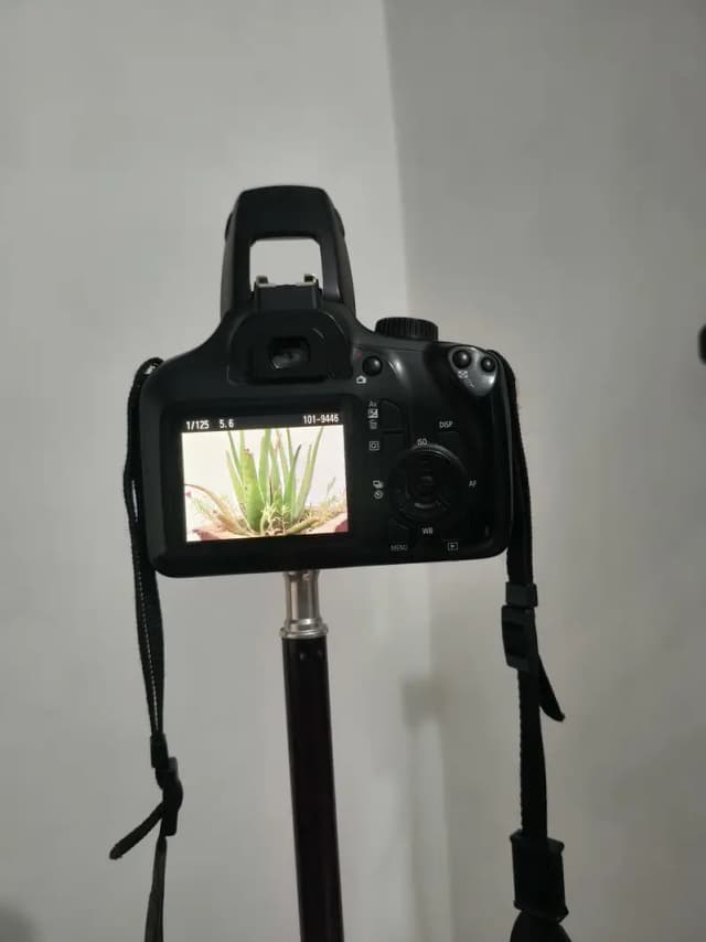 DSLR DIGITAL. 4000D