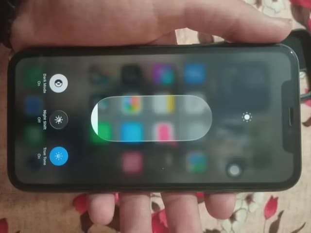 Apple iPhone 11 jv