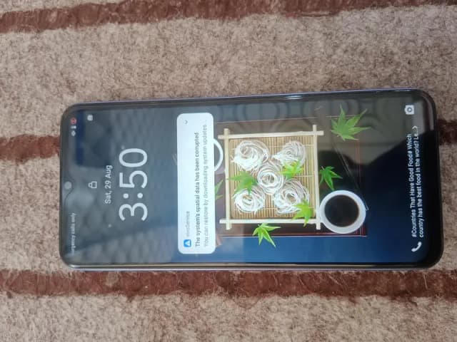 vivo y17s 6/128