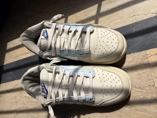 Nike dunk low unc