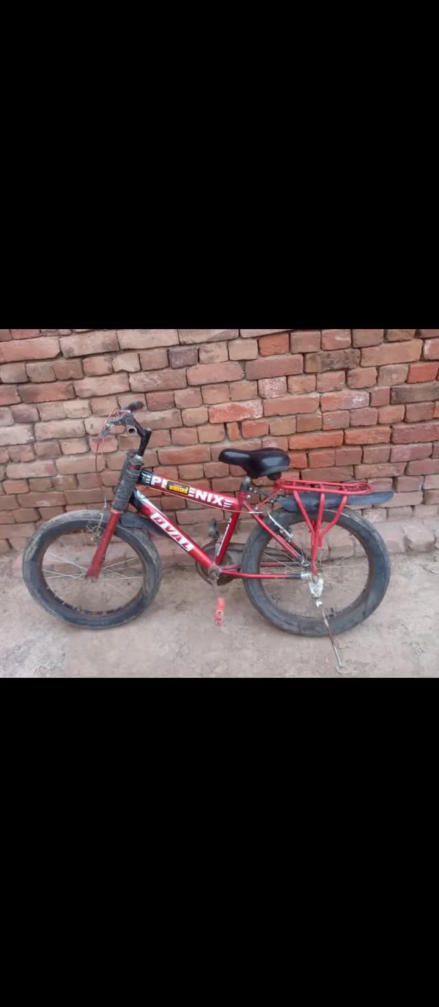 Bicycle Net and Clean Just By And Use 10/10 condition