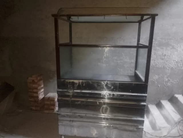 Food fries Counter