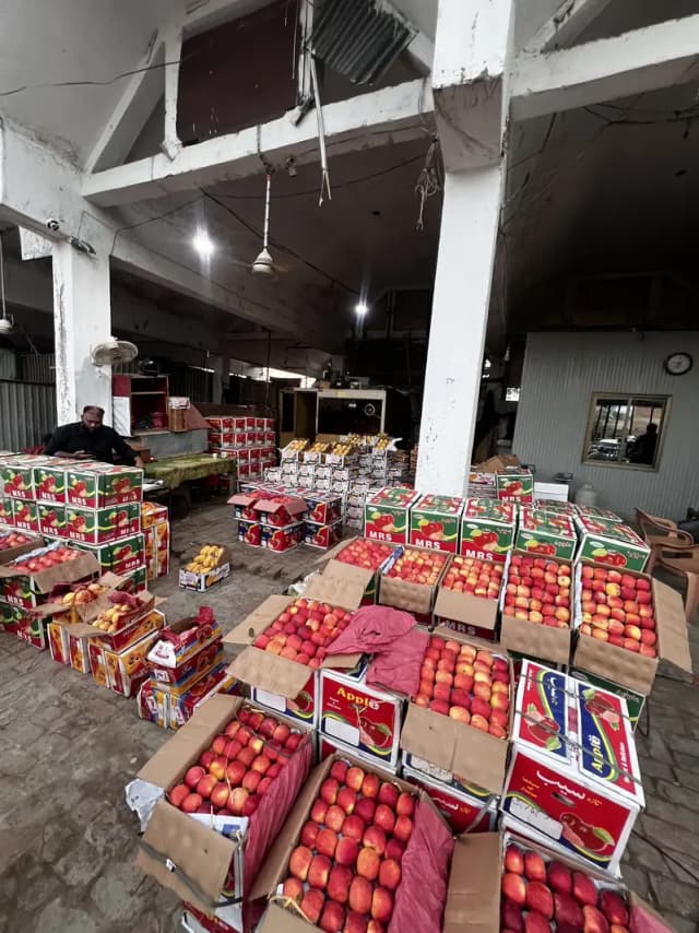 Mango chaunsa export quality