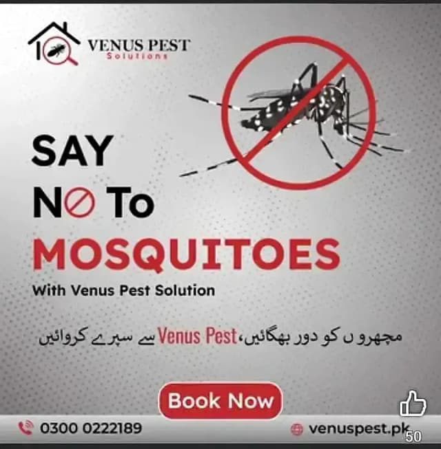 Dengue Spary/Termite Control/Deemak Control/ lizard pest control