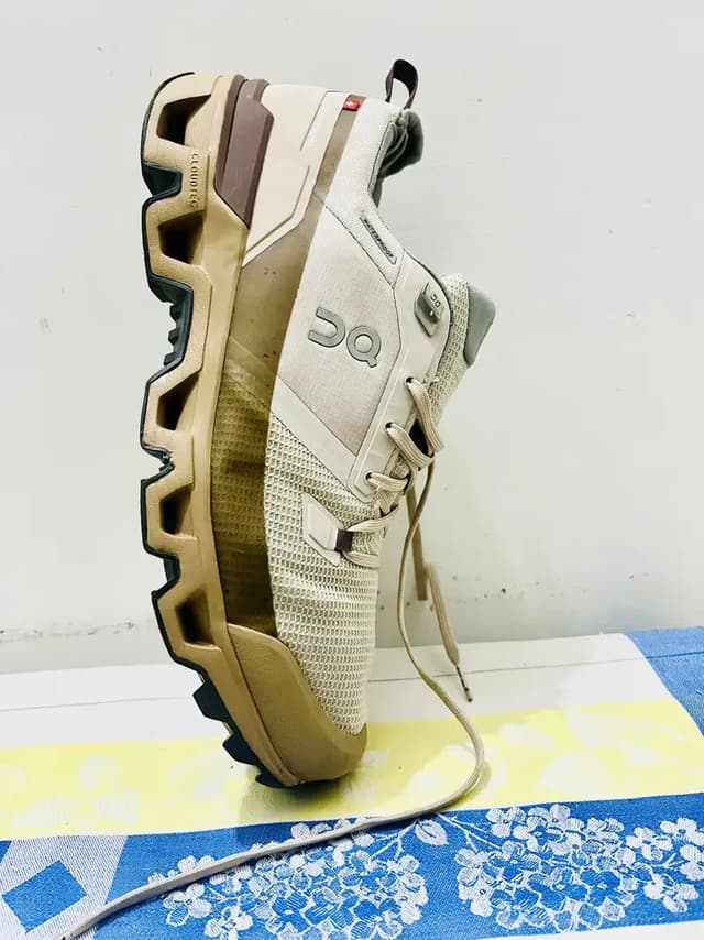 ON Cloud Cloudwander Waterproof Pearl Root 73.98056