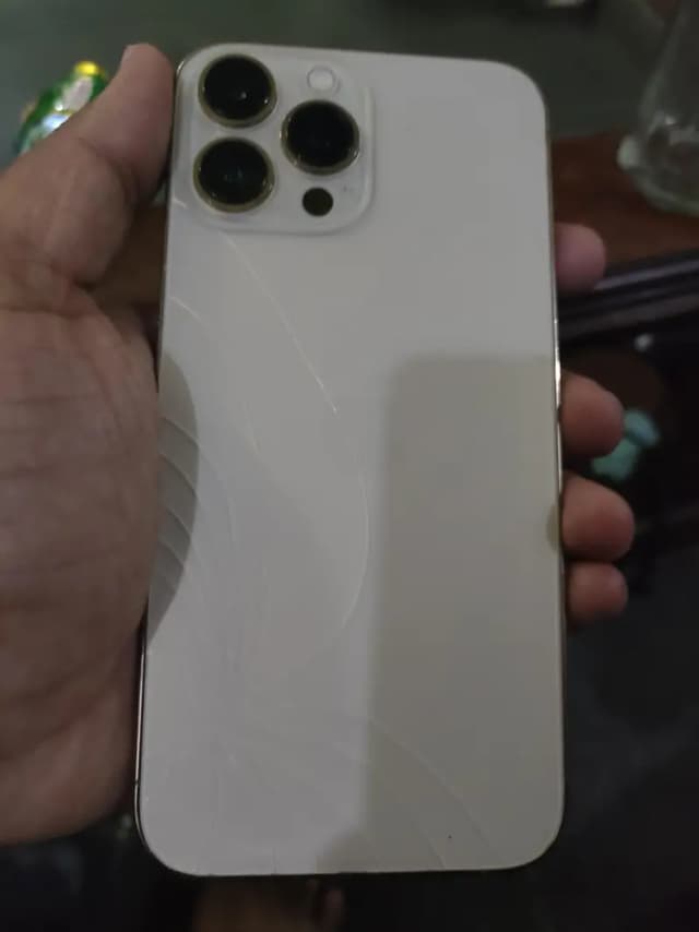 Apple iPhone 13 Pro Max