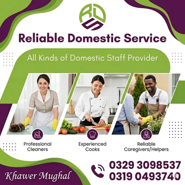 House Maids Baby Sitter Cook Drivers Chef Couple all Domestic staff