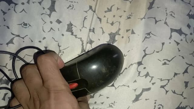 computer mouse