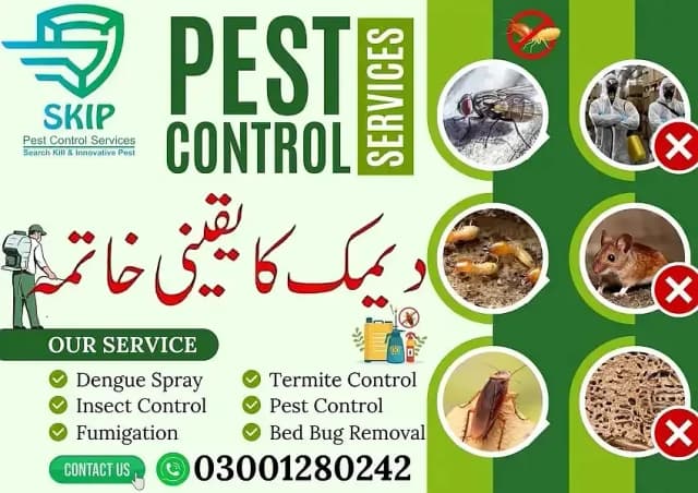 Fumigation Services | Termite Control | Deemak control | pest control