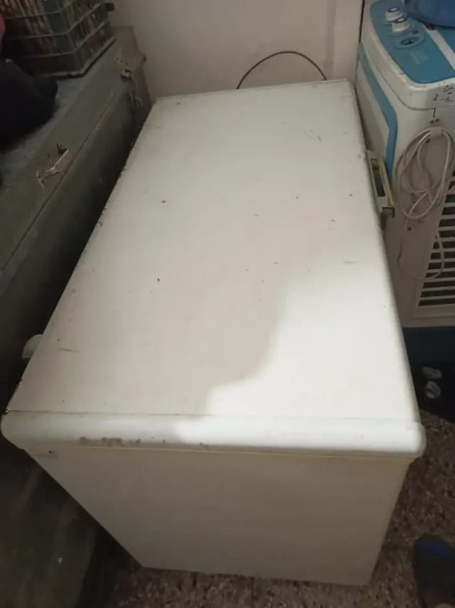 freezer