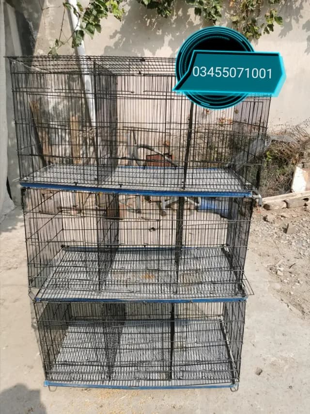 9 portion cage and astrolorp males