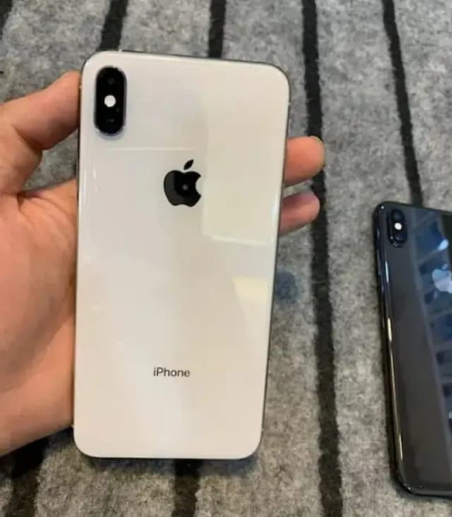 XS Max 256